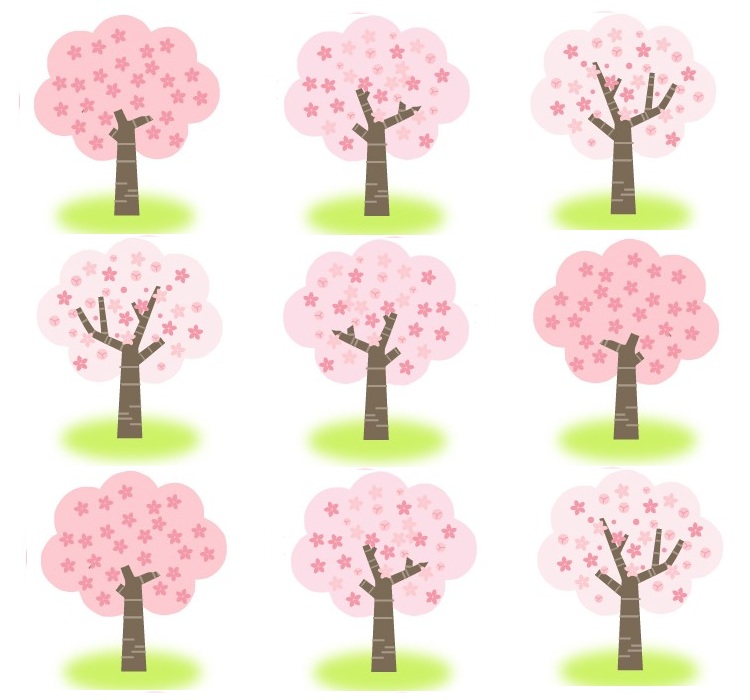 ガトーリベルテのさくらケーキ